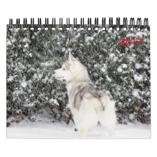 Calendrier Pour l'amour des chiens