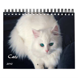 Calendrier précieux des chats 2012