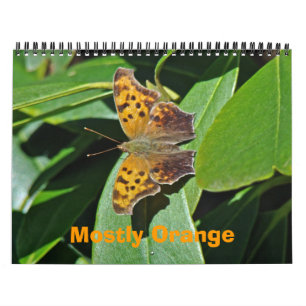 Calendrier - Principalement orange