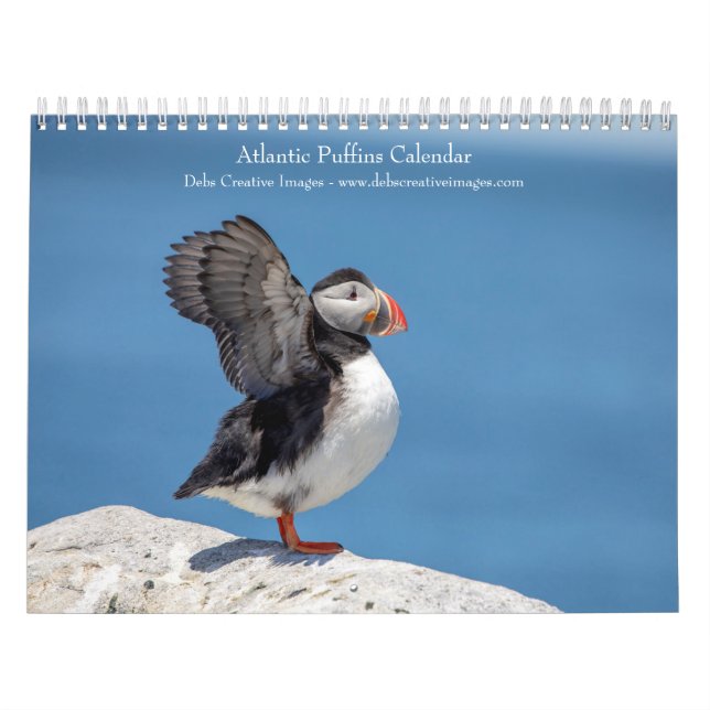 Calendrier Puffins de l'Atlantique 2026 (Protection)