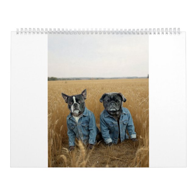Calendrier pug and Boston terrier calendar (Protection)