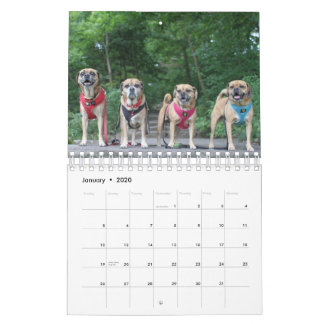 CALENDRIER PUGGLE 2020