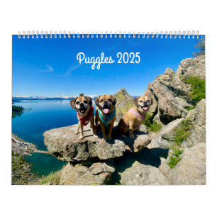 Calendrier Puggle 2025