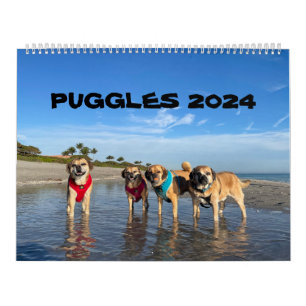 CALENDRIER PUGGLES 2024