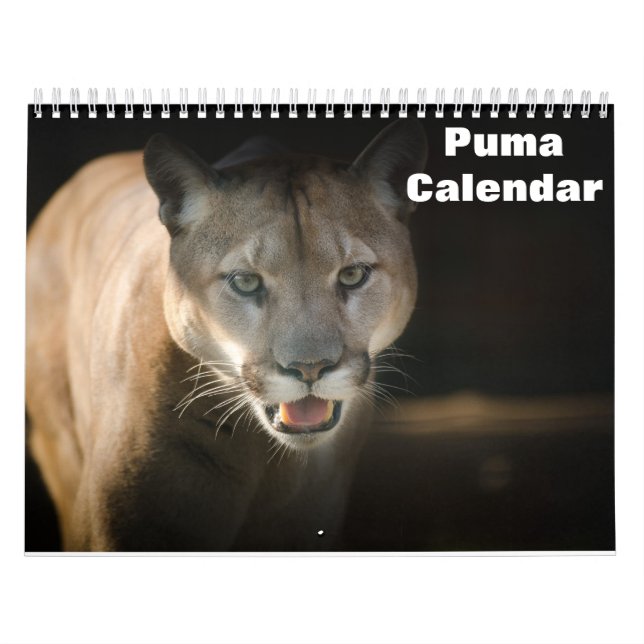 Calendrier Puma 2026 (Protection)