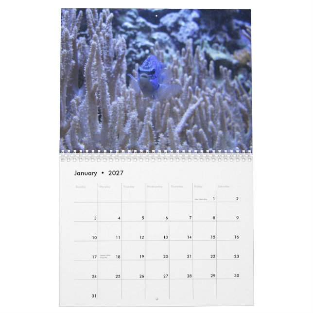 Calendrier Quelque chose de poisson (Jan 2027)