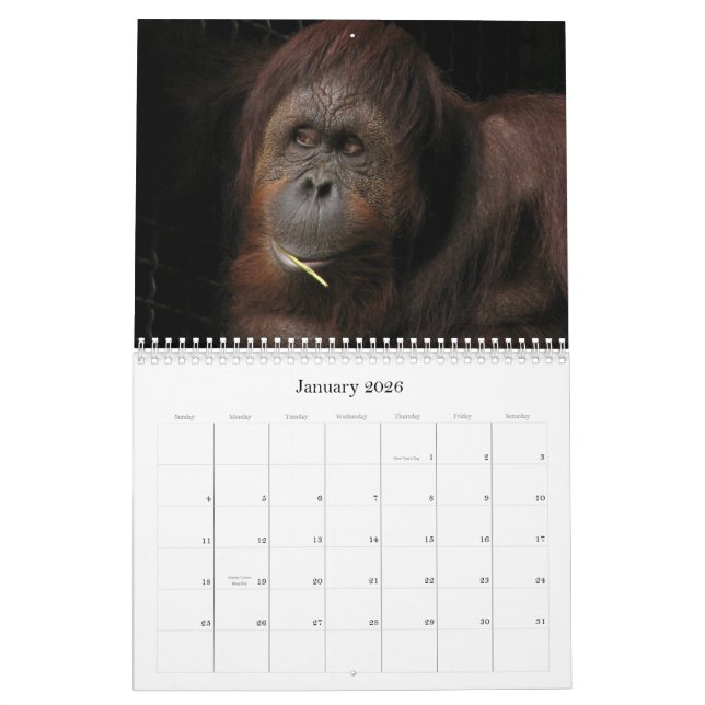 Calendrier Qui s'inquiète s'il est saisonnier ? (Jan 2026)