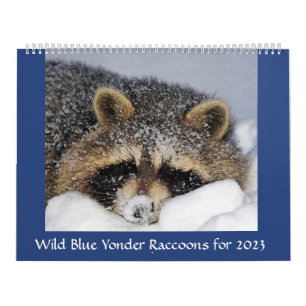 Calendrier Raccoon Secourt et sortie chez Wild Blue Yonder 20