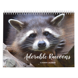 Calendrier Raccoons adorables 2026