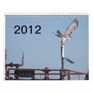Calendrier Ranch de 2012 puits