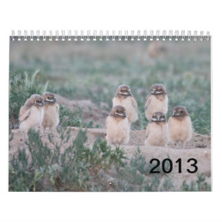Calendrier Ranch de 2013 puits