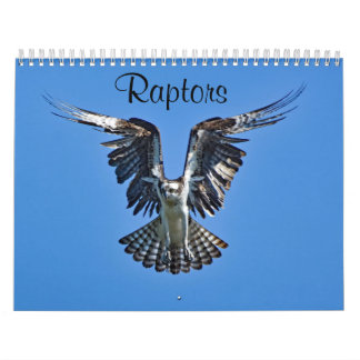 Calendrier Rapporteurs