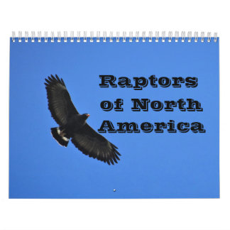 Calendrier - Raptors (oiseaux de proie) d'Amérique