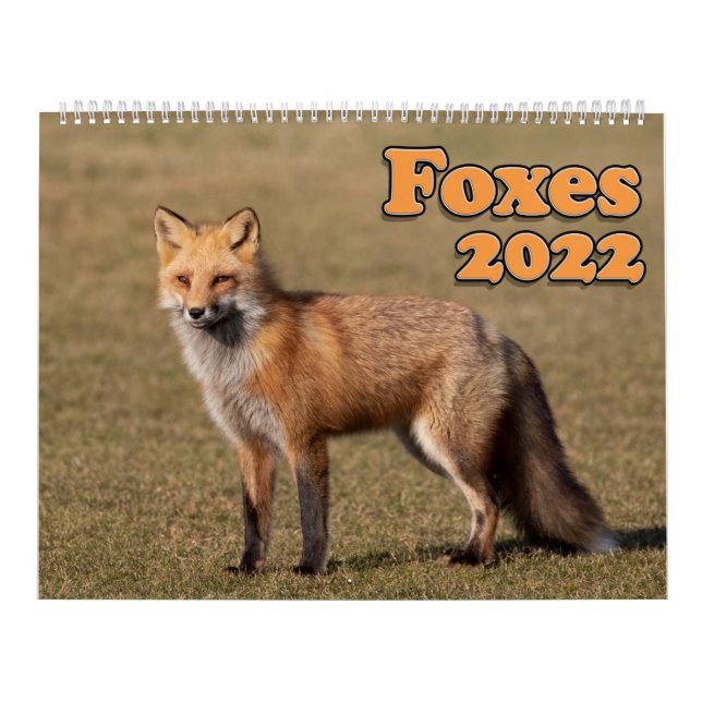 Calendrier Red Fox (Protection)