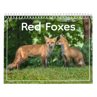 Calendrier Red Foxes Calendar