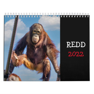 Calendrier Redd 2022