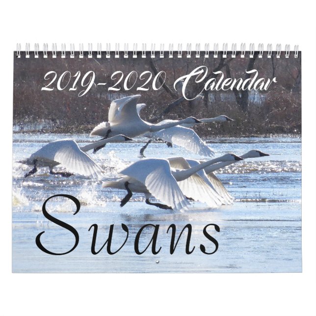 Calendrier refuges de 2019 2020 de cygne d'oiseaux animaux de (Protection)