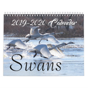 Calendrier refuges de 2019 2020 de cygne d'oiseaux animaux de