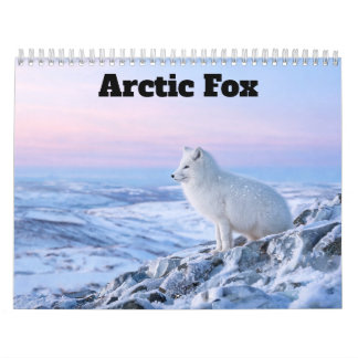 Calendrier Renard Arctique 2027