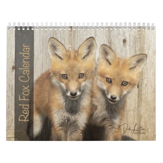 Calendrier Renard rouge (Protection)