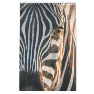 Calendrier Rencontres dans le Royaume sauvage de l'Afrique, C