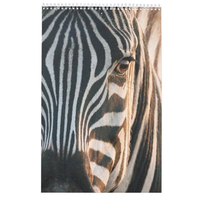 Calendrier Rencontres dans le Royaume sauvage de l'Afrique, C (Dos)