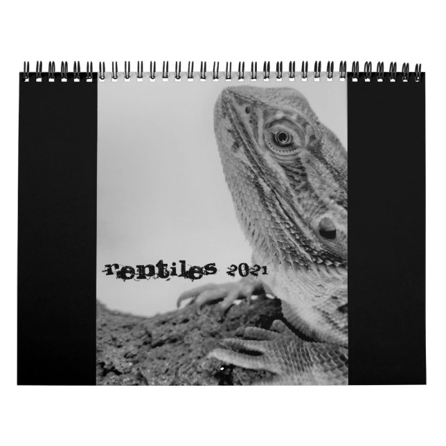 Calendrier Reptile Calendar 2021 (Protection)