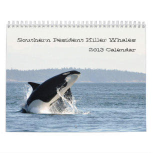 Calendrier résident du sud d'épaulard 2013