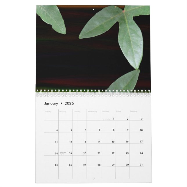 Calendrier Rêves floraux 2009 (Jan 2026)