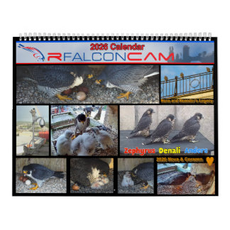 Calendrier Rfalconcam 2026