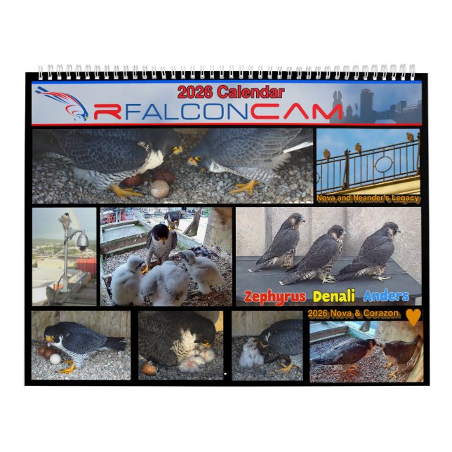 Calendrier Rfalconcam 2026 (Protection)
