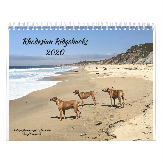 Calendrier Rhodesian Ridgeback 2020 (Protection)