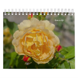 Calendrier Rose
