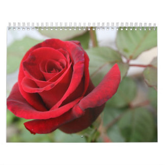 Calendrier rose d'amants de gratitude