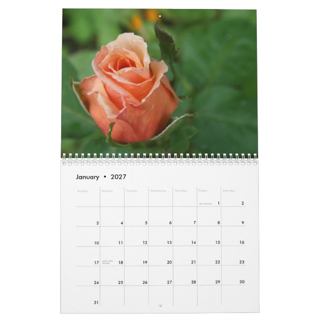Calendrier rose d'amants de gratitude (Jan 2027)
