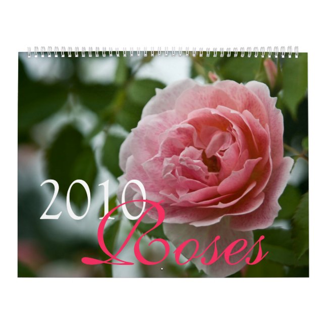 Calendrier rose des roses 2010 (Protection)