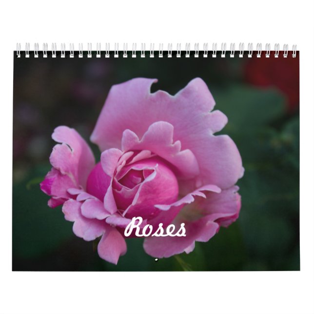 Calendrier Roses (Protection)