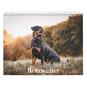 Calendrier Rottweiler