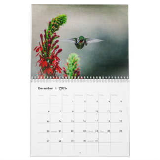 Calendrier Ruby Throated Hummingbirds