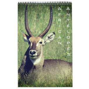 Calendrier safari antilope africaine 2025