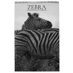 Calendrier safari zèbre