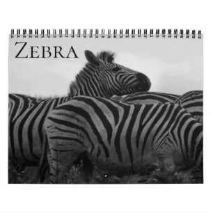 Calendrier safari zèbre 2026