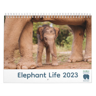 Calendrier Samui Elephant Haven 2023