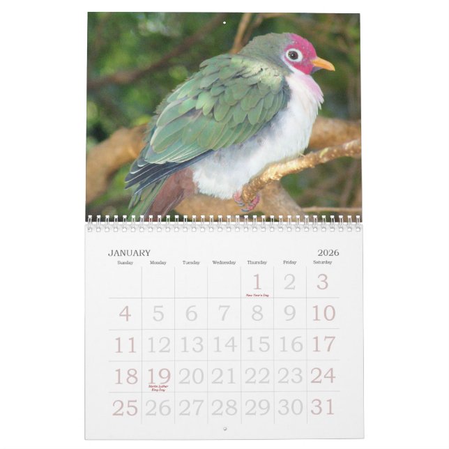 Calendrier sauvage 2007 de l'oiseau de Rick (Jan 2026)
