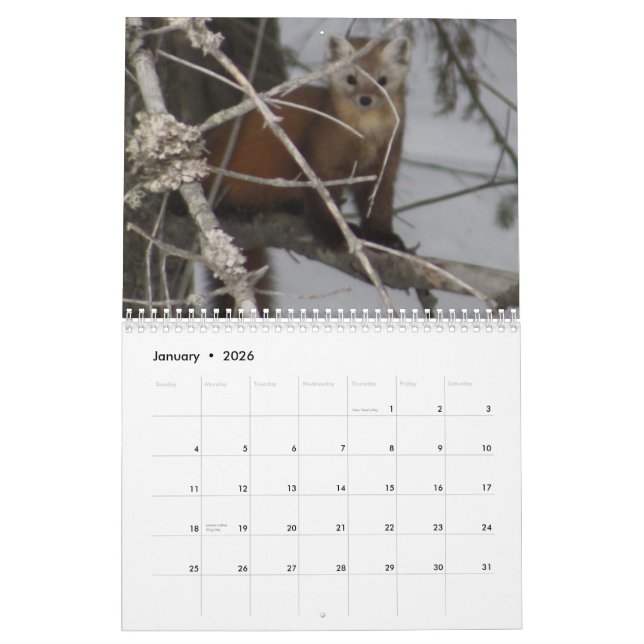 Calendrier sauvage de la vie 2013 du Maine (Jan 2026)