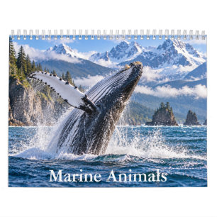 Calendrier Scénique de la Faune Marine