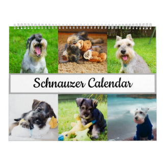 Calendrier Schnauzer