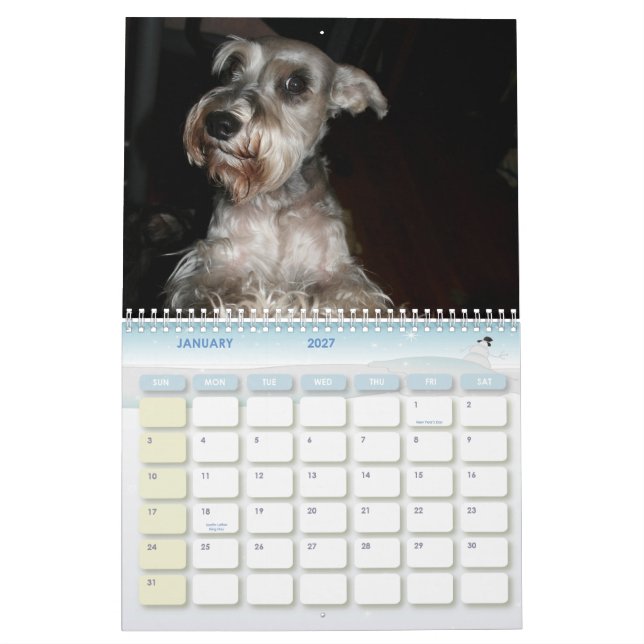 Calendrier Schnauzer Calander (Jan 2027)