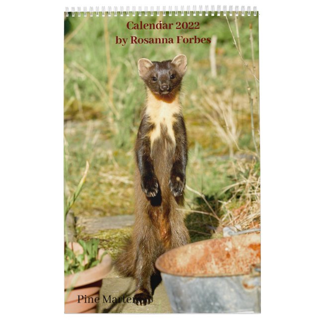 Calendrier Scottish Wildlife Calendar 2022 (Protection)