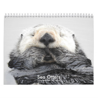 Calendrier Sea Otter Channel Calendar #2